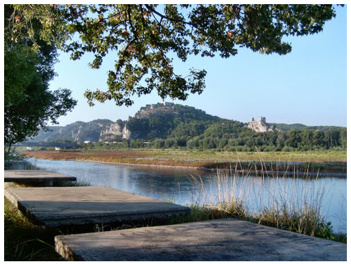 terrain cheval blanc